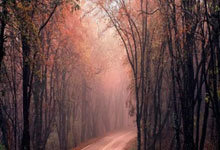 [CBA]总决赛5月15日：辽宁VS新疆 张镇麟集锦.