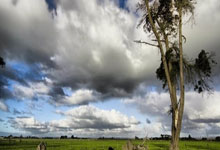 问鼎娱乐官网:他们在沙特为国足助威2025-03-21.