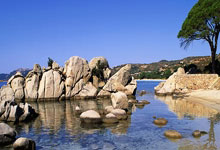 问鼎娱乐官网：[乒乓球]林高远抢得先机 汕头明润胜上海地产集团.